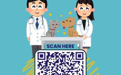 Career Prospect as a Veterinarian